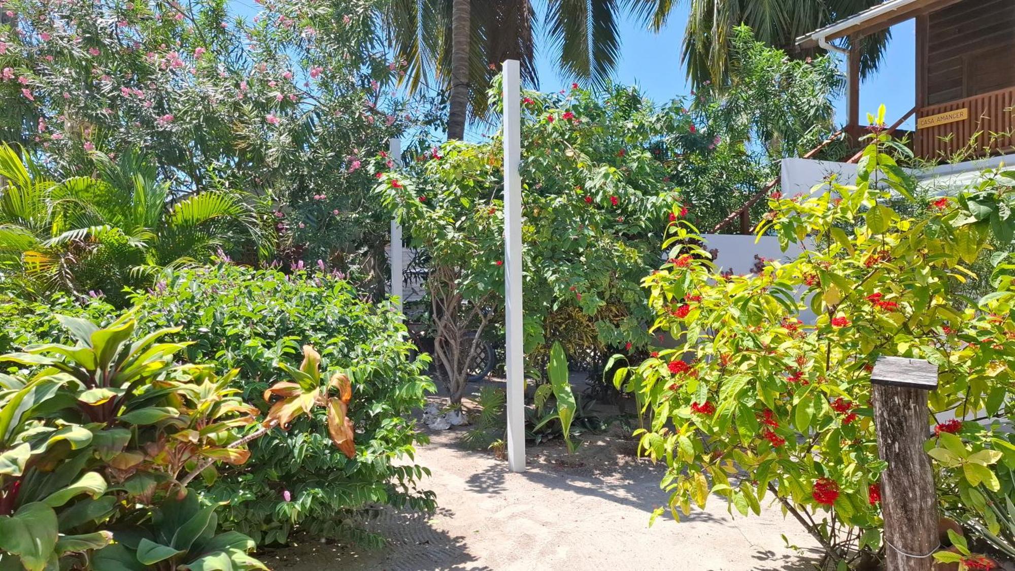 Amanda'S Place Casa Amancer - Sea View, Pool And Tropical Garden Caye Caulker Ngoại thất bức ảnh
