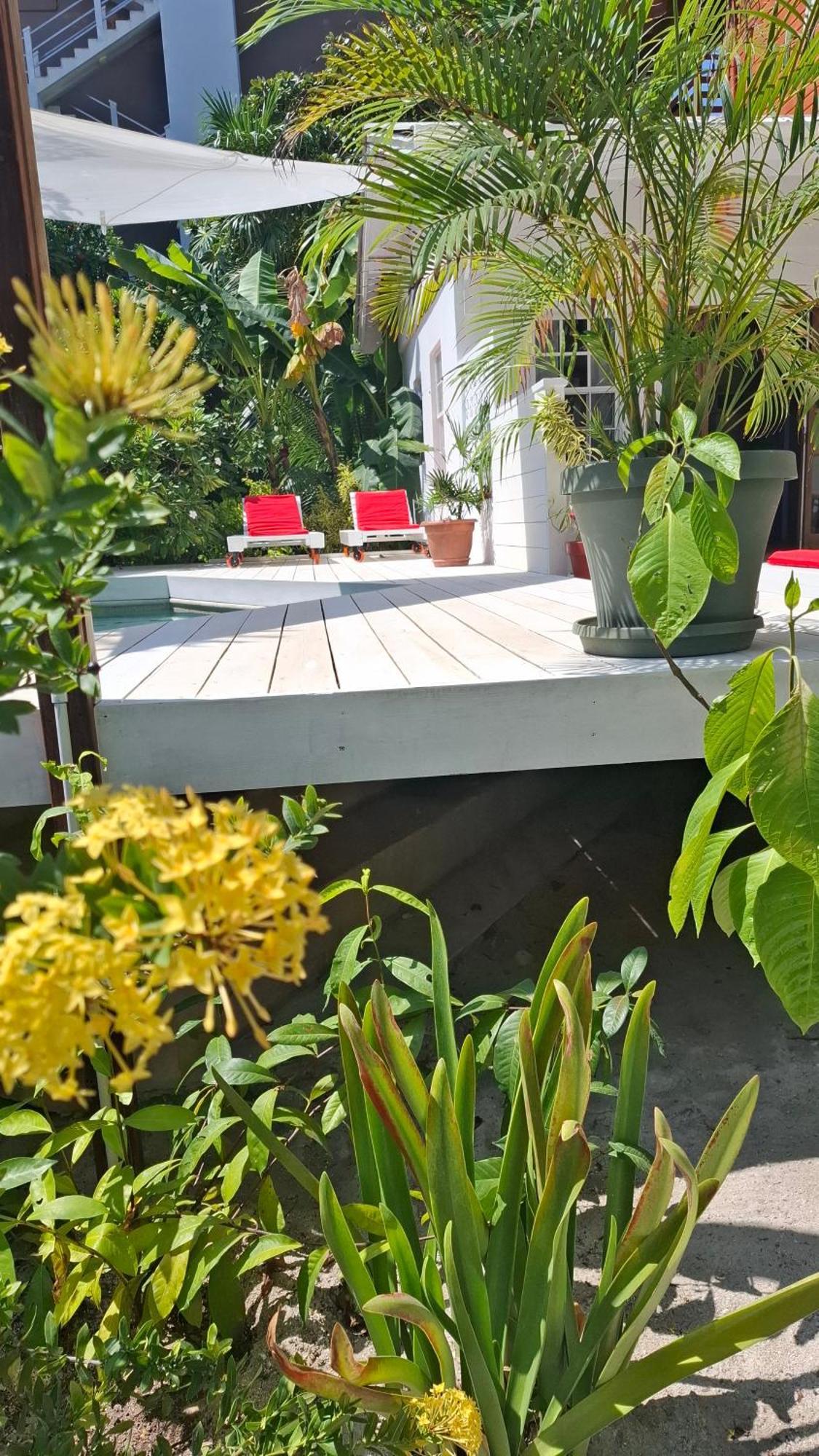 Amanda'S Place Casa Amancer - Sea View, Pool And Tropical Garden Caye Caulker Ngoại thất bức ảnh