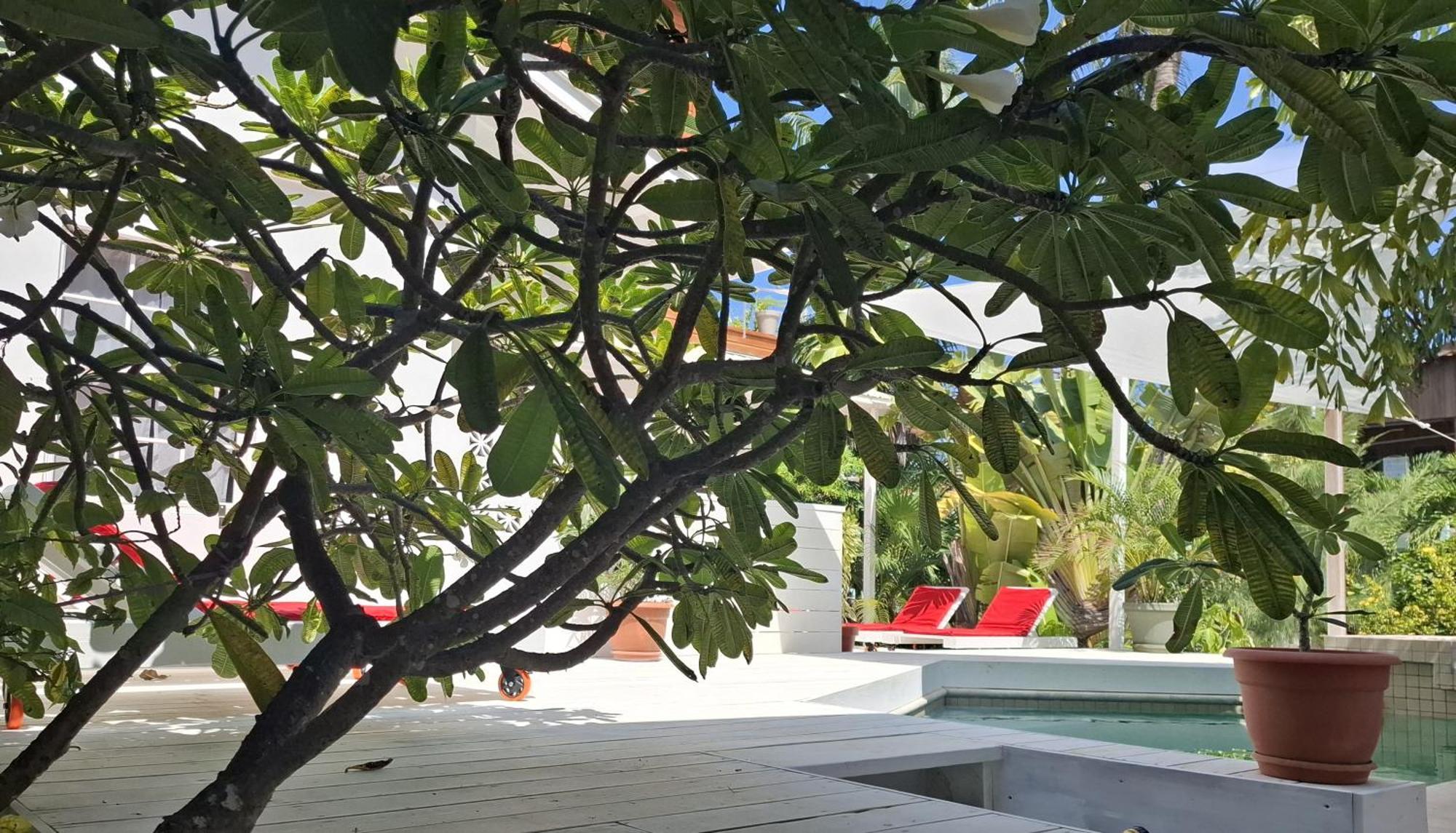 Amanda'S Place Casa Amancer - Sea View, Pool And Tropical Garden Caye Caulker Ngoại thất bức ảnh