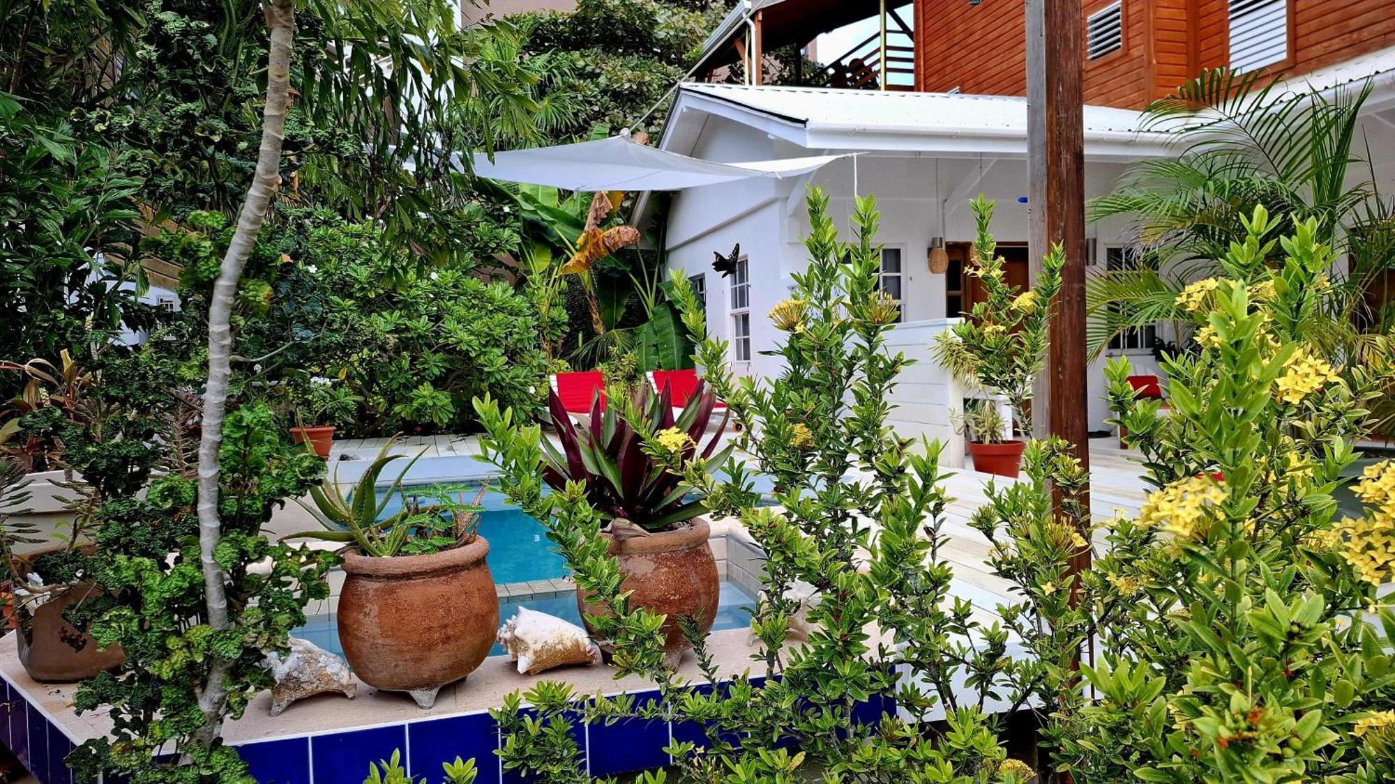 Amanda'S Place Casa Amancer - Sea View, Pool And Tropical Garden Caye Caulker Ngoại thất bức ảnh